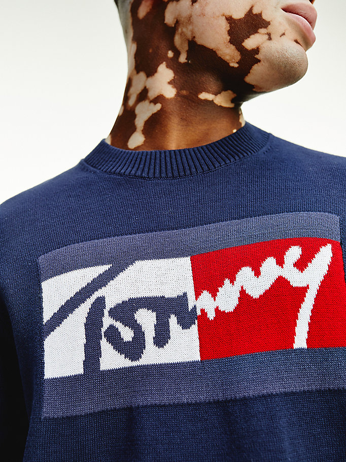 Tommy Hilfiger Crew Neck Relaxed Fit Gensere Herre Blå | MGCVJF-189