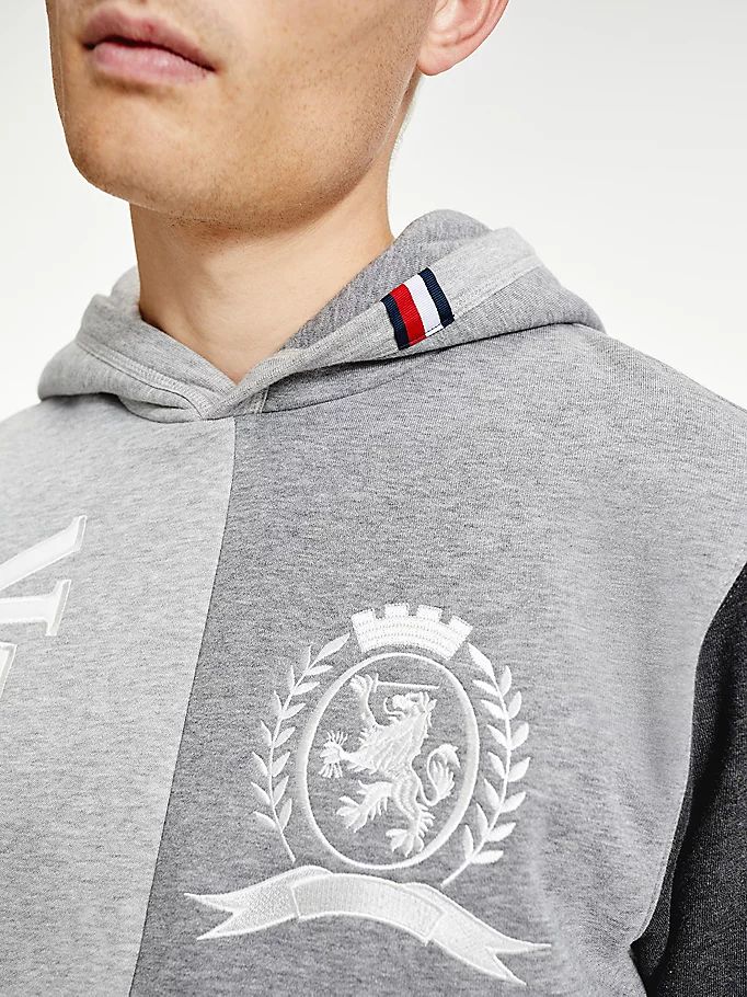 Tommy Hilfiger Icons Crest Colour-Blocked Relaxed Fit Hettegensere Herre Grå | DMAEBN-346