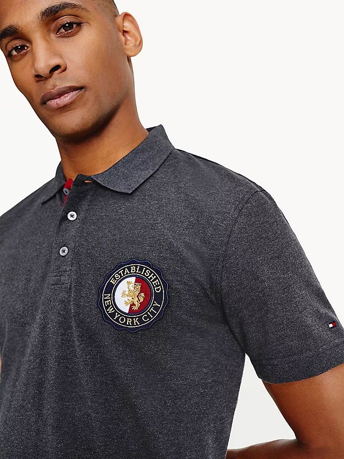 Tommy Hilfiger Icons Organic Bomull Regular Fit Polo T Skjorte Herre Grå | LXFZDV-470