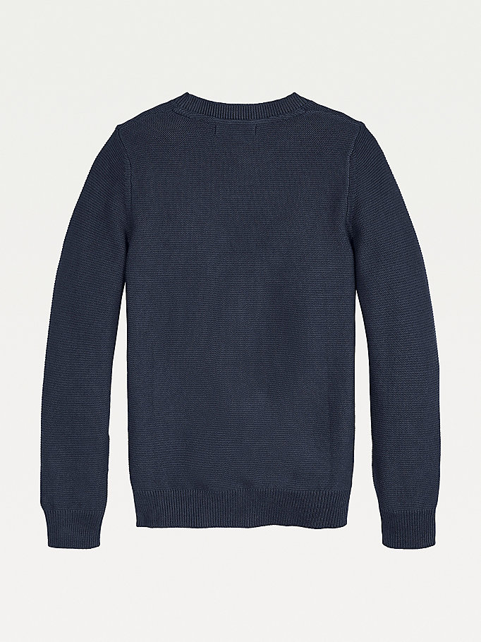 Tommy Hilfiger Logo Embroidery Jumper Gutt Blå | GQJNLD-963