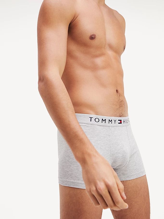 Tommy Hilfiger Logo Undertøy Herre Grå | PMSZEQ-572