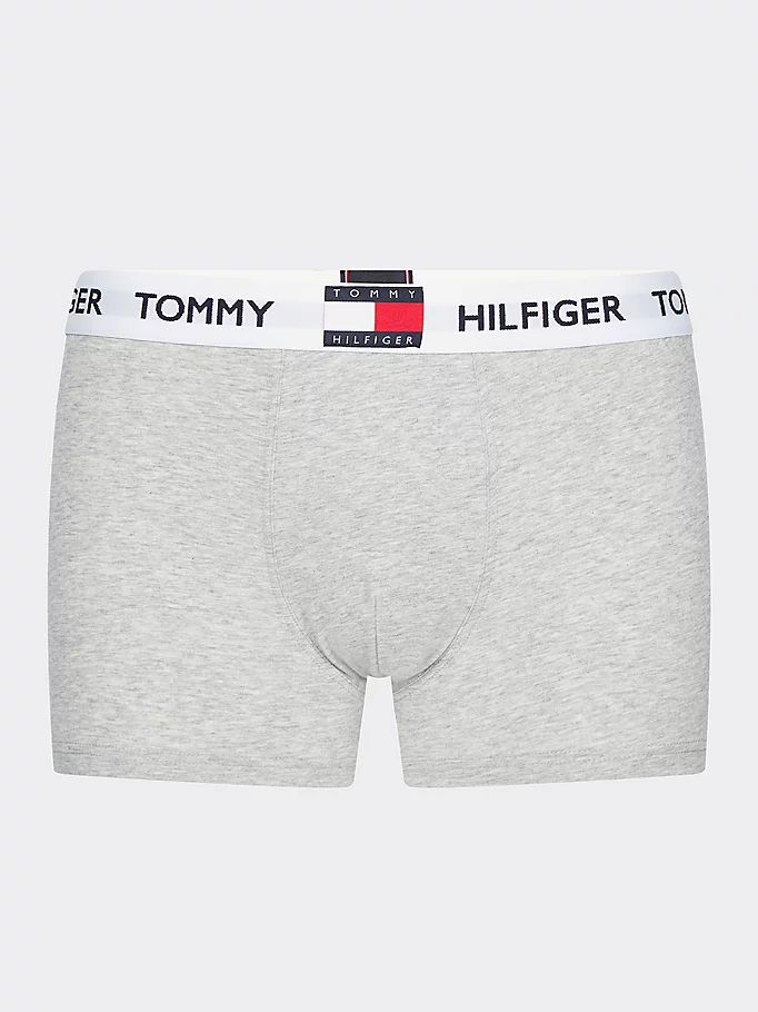 Tommy Hilfiger Logo Waistband Bomull Blend Trunks Undertøy Herre Grå | ASUMHZ-490