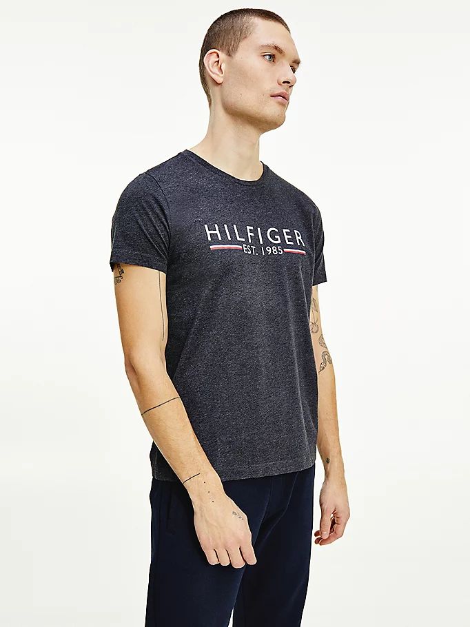 Tommy Hilfiger Organic Bomull 1985 Logo T-skjorte Herre Grå | ZGKSDV-651