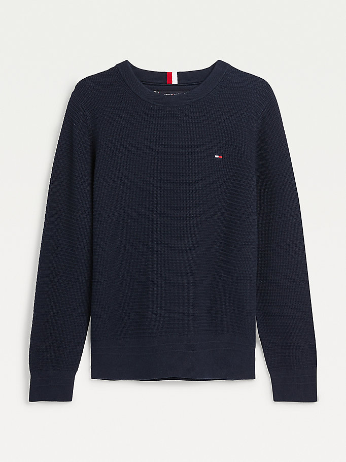 Tommy Hilfiger Organic Bomull Flag Embroidery Jumper Gutt Blå | AOXHLS-375