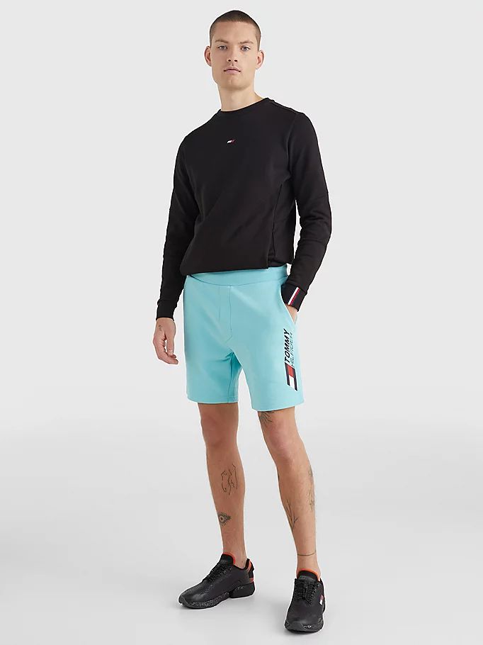 Tommy Hilfiger Sports Essential Organic Bomull Shorts Herre Blå | RGVSDB-307