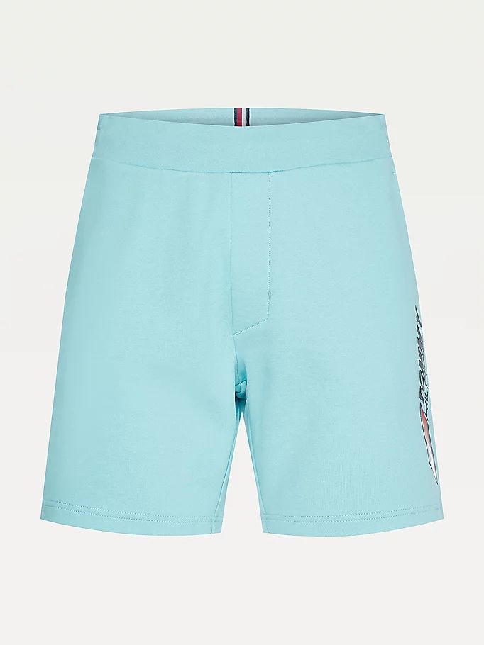 Tommy Hilfiger Sports Essential Organic Bomull Shorts Herre Blå | RGVSDB-307