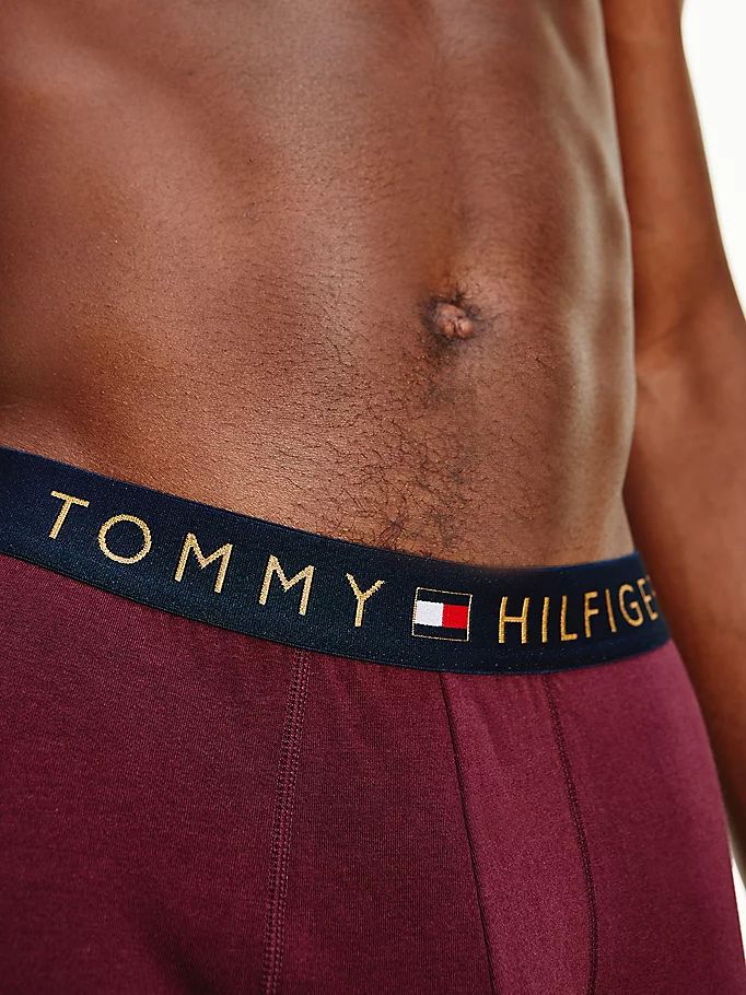 Tommy Hilfiger Stretch Bomull Long Johns Undertøy Herre Rød | RBUHNF-869