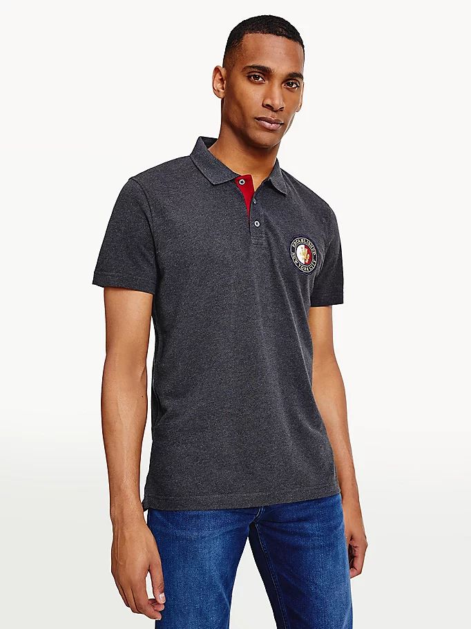 Tommy Hilfiger Icons Organic Bomull Regular Fit Polo T Skjorte Herre Grå | LXFZDV-470