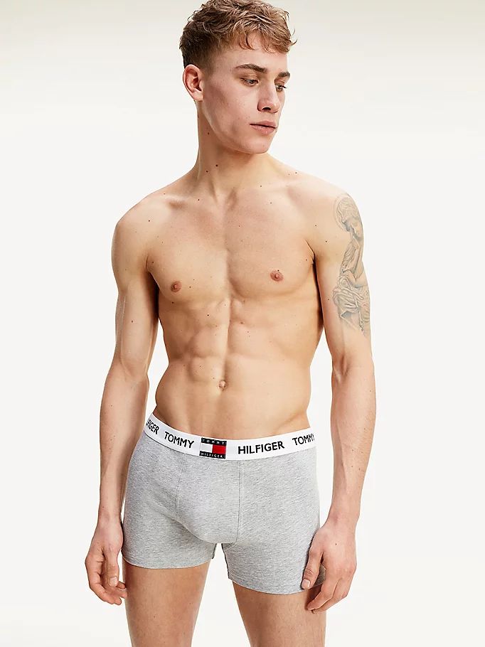 Tommy Hilfiger Logo Waistband Bomull Blend Trunks Undertøy Herre Grå | ASUMHZ-490