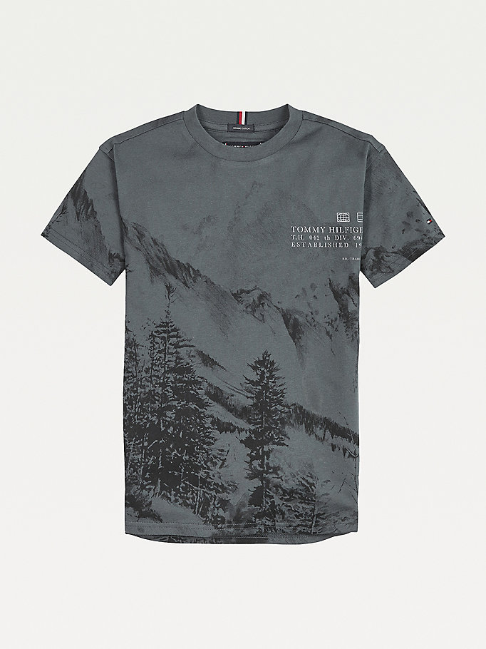 Tommy Hilfiger Reflective Landse Print T-skjorte Gutt Grønn | FXDMGJ-180